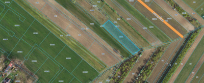 Działka budowlana 3000 m Dąbrówka - Marianka - Dąbrówka-Strumiany  -
Łódzkie Zdjęcie nr 4