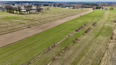 Działka budowlana 3000 m Dąbrówka - Marianka - Dąbrówka-Strumiany  -
Łódzkie Zdjęcie nr 9