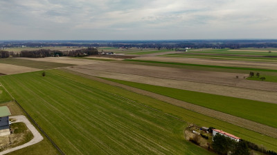 Działka 2345m2 Tu nawet Twój pies poczuje luz - Leśnica  -
Łódzkie Zdjęcie nr 10