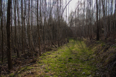Działka leśna 154 ha w gm Kańczuga UPUL - Łopuszka Wielka  -
Podkarpackie Zdjęcie nr 4
