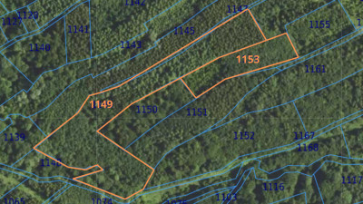 Działka leśna 154 ha w gm Kańczuga UPUL - Łopuszka Wielka  -
Podkarpackie Zdjęcie nr 8