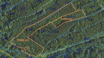 Działka leśna 154 ha w gm Kańczuga UPUL - Łopuszka Wielka  -
Podkarpackie Zdjęcie nr 9