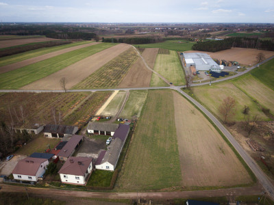 OKAZJA działka 4276m2 dom sklep biznes - Borki  -
Łódzkie Zdjęcie nr 4