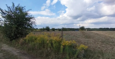 Rosanów - wybuduj dom marzeń i zamieszkaj - Rosanów  - Łódzkie