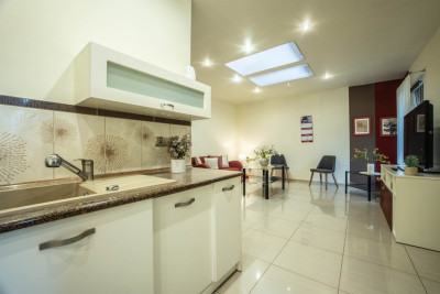 ZłotnoBałuty 529m2 z potencjałem i mediami - Łódź-Bałuty  -
Łódzkie Zdjęcie nr 14