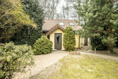 ZłotnoBałuty 529m2 z potencjałem i mediami - Łódź-Bałuty  -
Łódzkie Zdjęcie nr 2