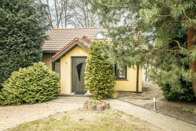 ZłotnoBałuty 529m2 z potencjałem i mediami - Łódź-Bałuty  -
Łódzkie Zdjęcie nr 3