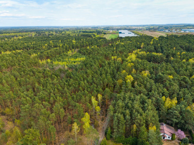 Działka 1023m2 Rosanów przy lesie  Wizualizacje - Rosanów  -
Łódzkie Zdjęcie nr 11