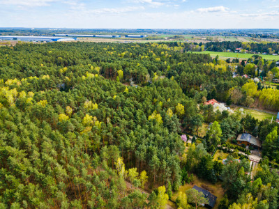 Tu las będzie Twoim sąsiademWizualizacja - Rosanów  -
Łódzkie Zdjęcie nr 14