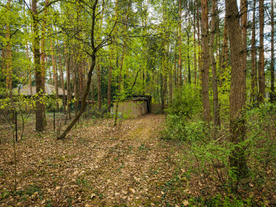 Działka 1023m2 Rosanów przy lesie  Wizualizacje - Rosanów  -
Łódzkie Zdjęcie nr 6