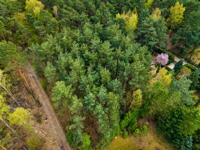 Działka 1023m2 Rosanów przy lesie  Wizualizacje - Rosanów  -
Łódzkie Zdjęcie nr 7