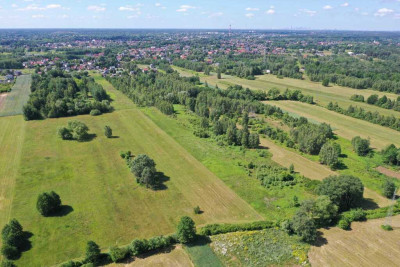 Przestrzeń Spokój i Potencjałdziałka w Dobczynie - Dobczyn  -
Mazowieckie Zdjęcie nr 5