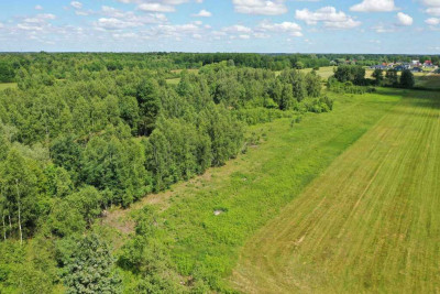 Przestrzeń Spokój i Potencjałdziałka w Dobczynie - Dobczyn  -
Mazowieckie Zdjęcie nr 7
