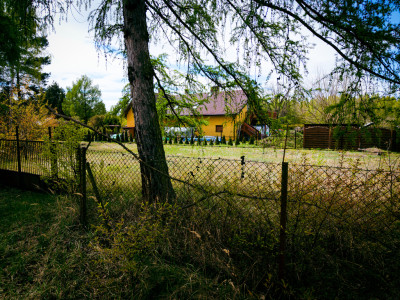Złap orli wzrok na działce w Orle  1365 m2 - Orła  -
Łódzkie Zdjęcie nr 3
