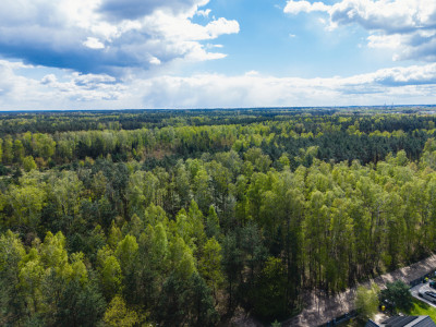 Działka 1002 m  Łódź ul Gminna - Łódź  -
Łódzkie Zdjęcie nr 5