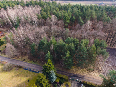 Tanio dobrze i realnie - Zagłoba  -
Łódzkie Zdjęcie nr 12