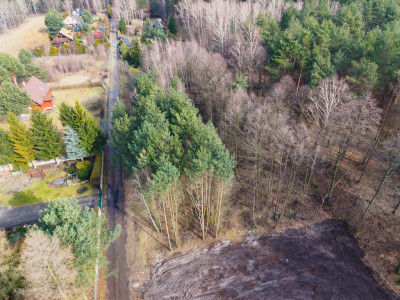 Tanio dobrze i realnie - Zagłoba  -
Łódzkie Zdjęcie nr 2