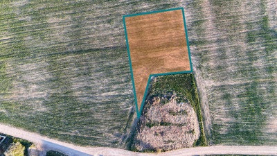 Działka budowlana z MPZP Mrowino kPoznania - Mrowino  -
Wielkopolskie Zdjęcie nr 6