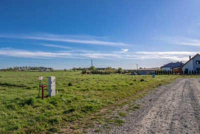 12 arów ciszy czeka na Ciebie - Kolsko  -
Lubuskie Zdjęcie nr 8