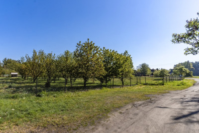 Działka z duszą i widokiem na Pałac - Bojadła  -
Lubuskie Zdjęcie nr 8