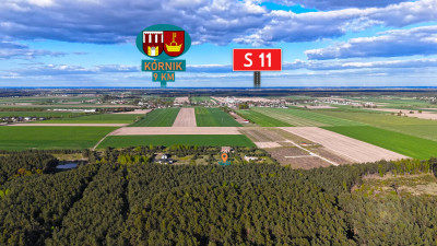Oaza spokoju pod samym lasem  działka 1463 m - Czmoniec  -
Wielkopolskie Zdjęcie nr 4