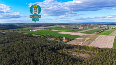 Oaza spokoju pod samym lasem  działka 1463 m - Czmoniec  -
Wielkopolskie Zdjęcie nr 5