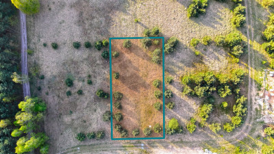 Oaza spokoju pod samym lasem  działka 1463 m - Czmoniec  -
Wielkopolskie Zdjęcie nr 9