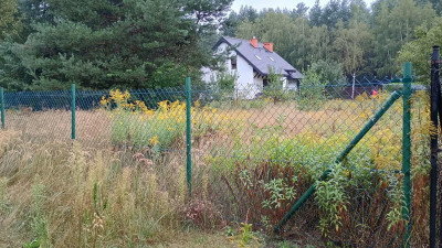Twoje miejsce na ziemi w Rosanowie - Rosanów  -
Łódzkie Zdjęcie nr 2