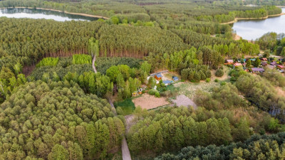 Las jezioro i Ty - Uście  -
Lubuskie Zdjęcie nr 14