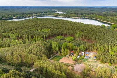 Las jezioro i Ty - Uście  - Lubuskie