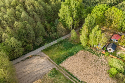 Las jezioro i Ty - Uście  -
Lubuskie Zdjęcie nr 2