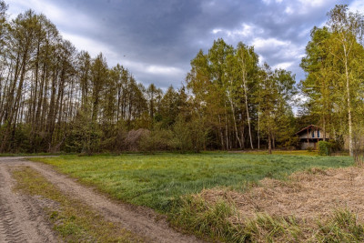 Las jezioro i Ty - Uście  -
Lubuskie Zdjęcie nr 4