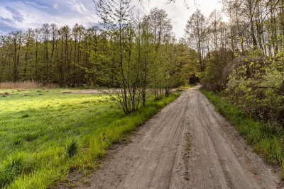 Las jezioro i Ty - Uście  -
Lubuskie Zdjęcie nr 9