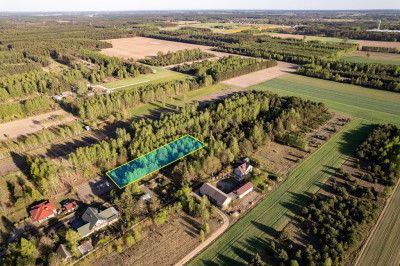 Działka z charakterem i własnym laskiem  - Teodorów  -
Mazowieckie Zdjęcie nr 10