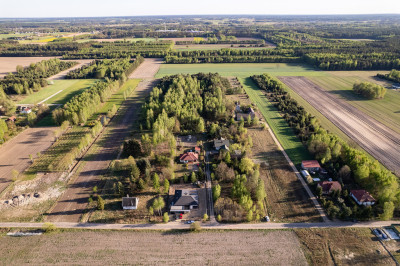 Działka z charakterem i własnym laskiem  - Teodorów  -
Mazowieckie Zdjęcie nr 2