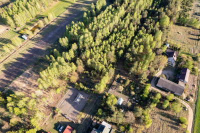 Działka z charakterem i własnym laskiem  - Teodorów  -
Mazowieckie Zdjęcie nr 3