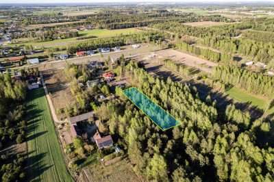 Działka z charakterem i własnym laskiem  - Teodorów  -
Mazowieckie Zdjęcie nr 5