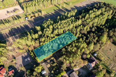 Działka z charakterem i własnym laskiem  - Teodorów  -
Mazowieckie Zdjęcie nr 7