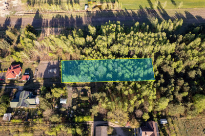 Działka z charakterem i własnym laskiem  - Teodorów  -
Mazowieckie Zdjęcie nr 8