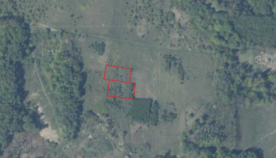 Działka nad plażą dla Ciebie - Moryń  -
Zachodniopomorskie Zdjęcie nr 6