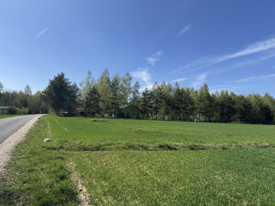 Las cisza i zieleń - miejsce na Twój nowy dom - Helenów  -
Łódzkie Zdjęcie nr 10