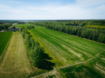Las cisza i zieleń - miejsce na Twój nowy dom - Helenów  -
Łódzkie Zdjęcie nr 2