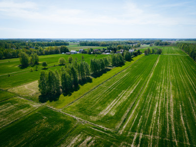 Las cisza i zieleń - miejsce na Twój nowy dom - Helenów  -
Łódzkie Zdjęcie nr 5
