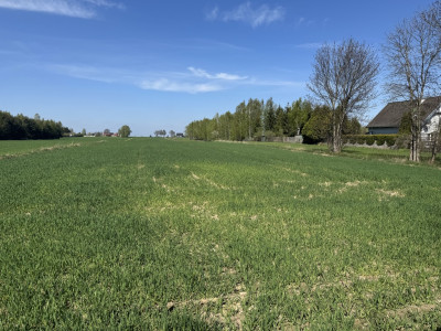 Las cisza i zieleń - miejsce na Twój nowy dom - Helenów  -
Łódzkie Zdjęcie nr 7