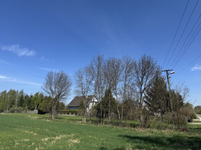 Las cisza i zieleń - miejsce na Twój nowy dom - Helenów  -
Łódzkie Zdjęcie nr 9