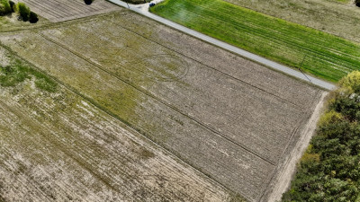 Twoja Oaza pod Łodzią  Działka 1518m2 w Skórce - Skórka  -
Łódzkie Zdjęcie nr 11