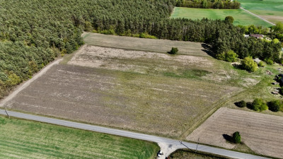 Twoja Oaza pod Łodzią  Działka 1518m2 w Skórce - Skórka  -
Łódzkie Zdjęcie nr 14