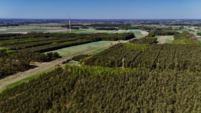 Twoja Oaza pod Łodzią  Działka 1518m2 w Skórce - Skórka  -
Łódzkie Zdjęcie nr 2