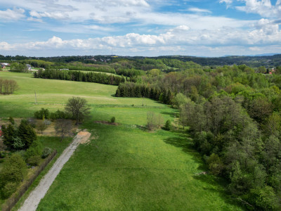 Grabówki - inwestycja w naturę 40 ar przy lesie - Grabówki  -
Małopolskie Zdjęcie nr 3