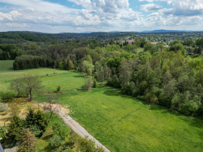 Grabówki - inwestycja w naturę 40 ar przy lesie - Grabówki  -
Małopolskie Zdjęcie nr 5